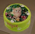 Torta Torta s mačiatkom