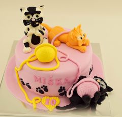 Mačky na torte
