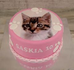 Torta s mačkou