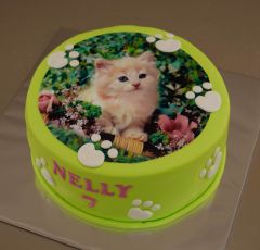 Torta s mačiatkom