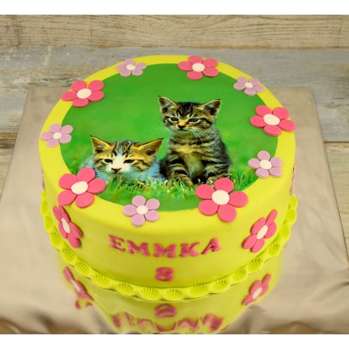 Svadobné torty » Torta Mačka obr.