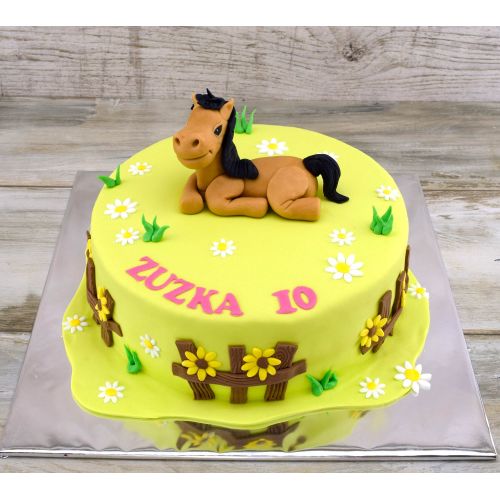 Najnovšie torty » Torta Narodeninová torta s koňom
