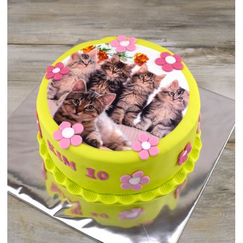 Najnovšie torty » Torta Narodeninová torta s mačkami